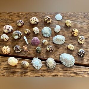 Crafters!  Buttons, Beads & Mini Seashells Vintage & Unique. W German Thimble.